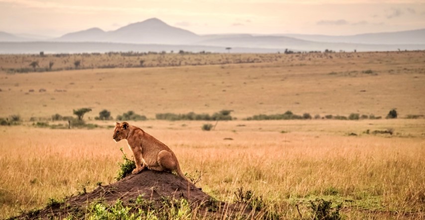 Die Schonheit Afrikas Africa S Photographer Of The Year