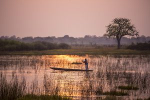 Mokoro sur le Delta de l'Okavango, à proximité de Qorokwe Camp