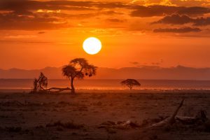 Die untergehende Sonne in der afrikanischen Wildnis
