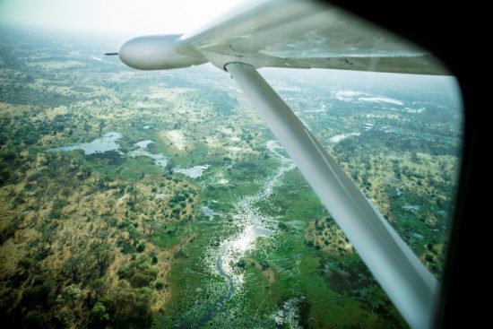 Vol en avion léger au dessus du Delta de l'Okavango au Botswana.
