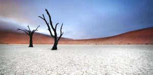 weiß-rote Wüstenlandschaft in der Namib-Wüste