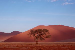 Les dunes de Namibie font partie des merveilles cachées de l'Afrique hors des sentiers battus