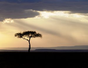 Parmi les merveilles cachées de l'Afrique : les orages et les couchers de soleil d'Afrique 