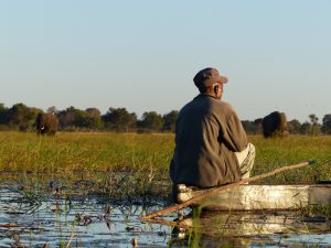 Parmi les merveilles cachées de l'Afrique : les mokoros qui naviguent à travers les méandres du delta de l'Okavango
