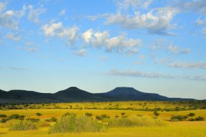 Parmi les merveilles cachées de l'Afrique : les plaines sans fin du damaraland en Namibie
